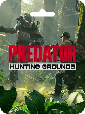 как пополнить Predator: Hunting Grounds (Steam)